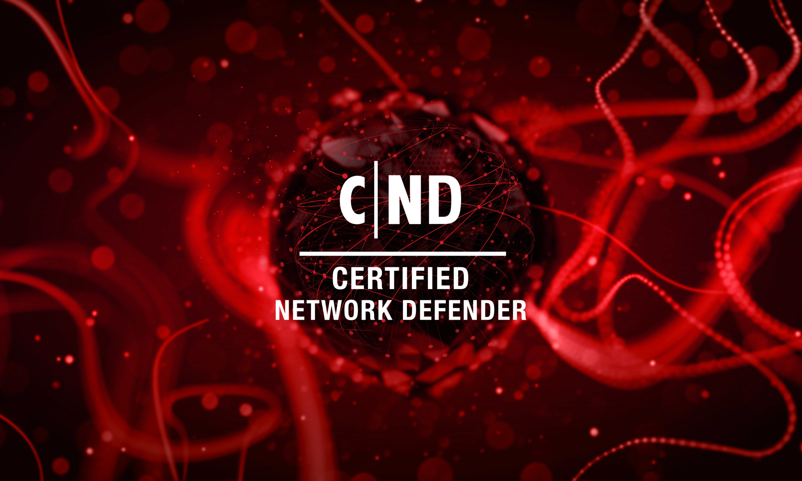 Certified Network Defender (CND) 